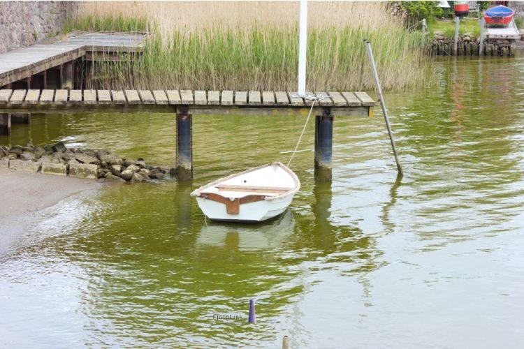 Hotel Hausboot Fjord Aries Mit Dachterrasse In Schleswig Esterno foto